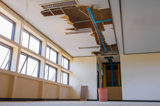 Best Fire Damage Restoration  in Perry Heights, OH
