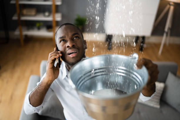 Best Water damage restoration specialists  in Perry Heights, OH