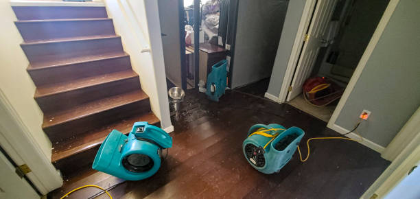 Best Local water damage restoration  in Perry Heights, OH