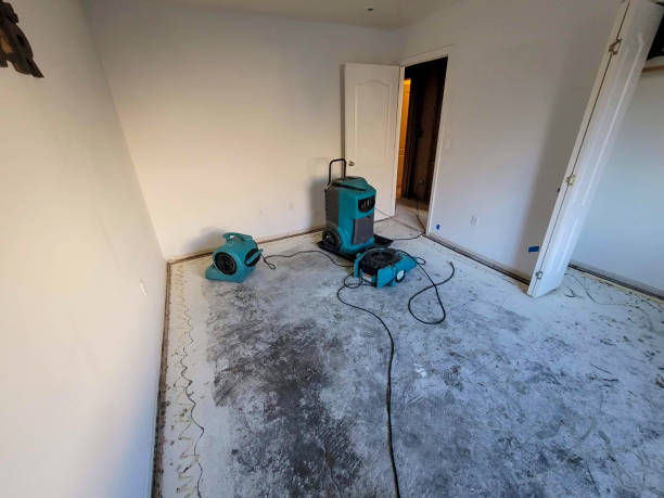 Best Water damage restoration near me  in Perry Heights, OH