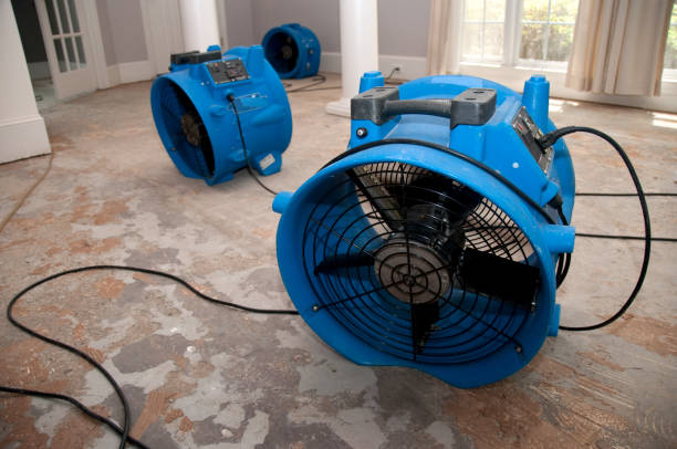 Best Residential water damage restoration  in Perry Heights, OH