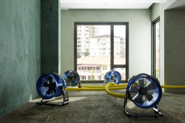 Best Ceiling water damage repair  in Perry Heights, OH