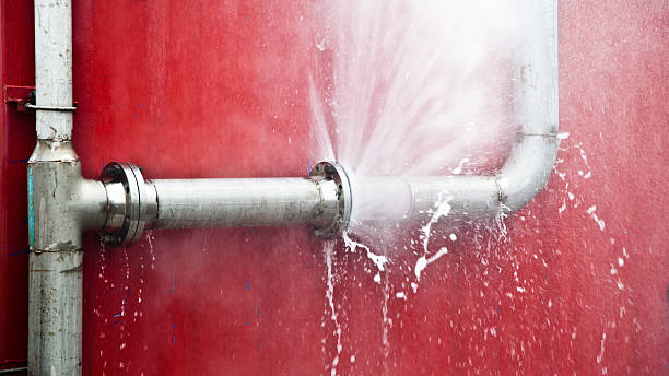 Best Professional water damage repair  in Perry Heights, OH